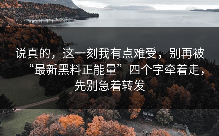 说真的，这一刻我有点难受，别再被“最新黑料正能量”四个字牵着走，先别急着转发
